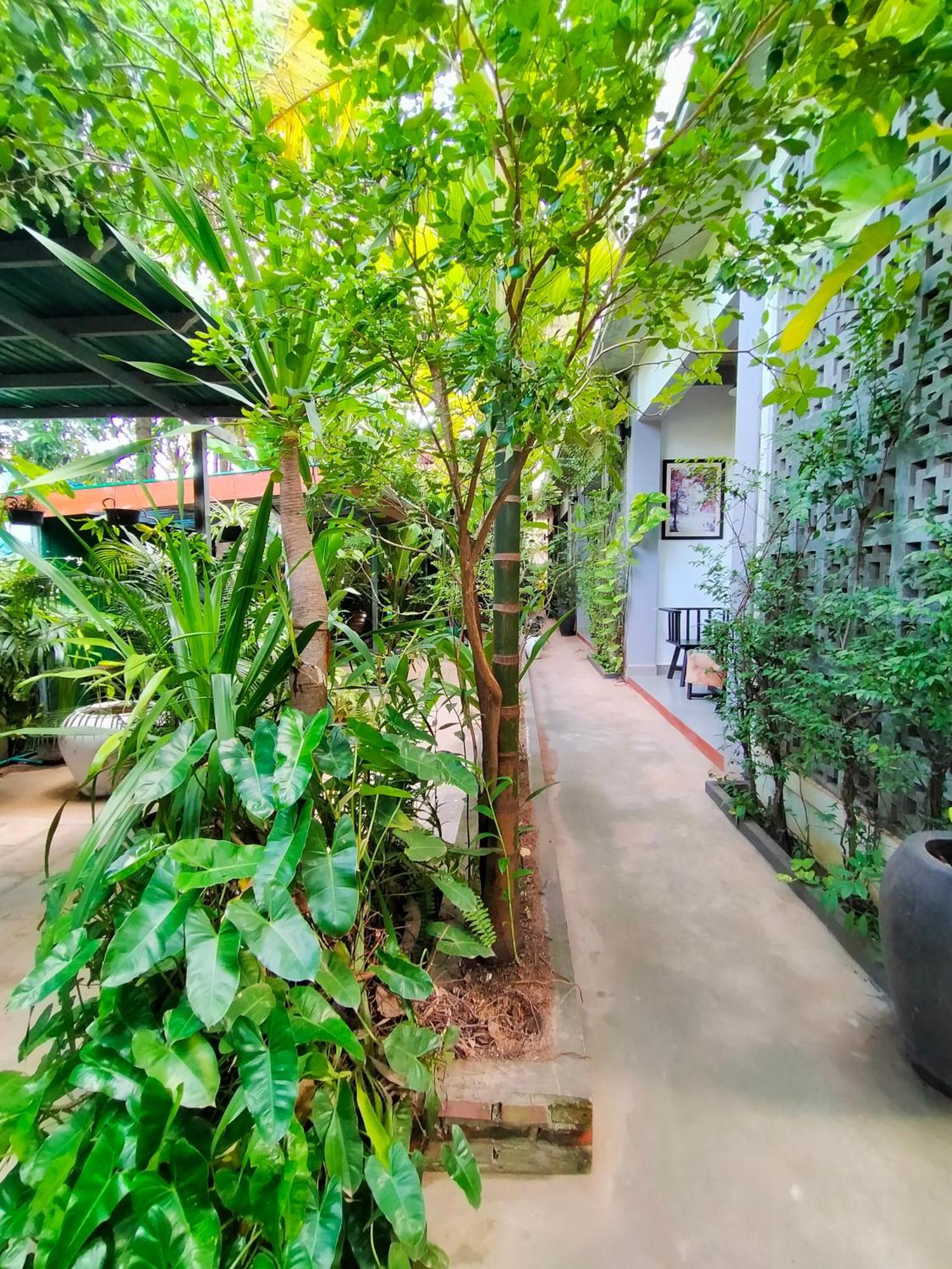กรีน สเตย์ วิลเลจ Bed & Breakfast เสียมราฐ ภายนอก รูปภาพ
